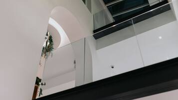 A modern interior with a glass railing, a curved white wall, and a plant.