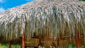 A thatched-roof structure with a stone base, a sign reading "AURONA COHAB&SABANAS", and a person standing at the counter.