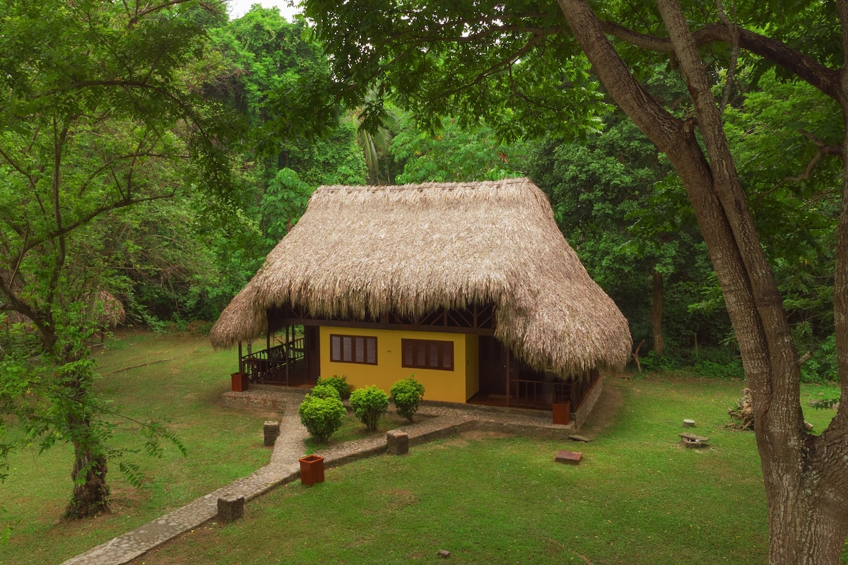 A thatched-roof hut with a small porch, surrounded by lush greenery.