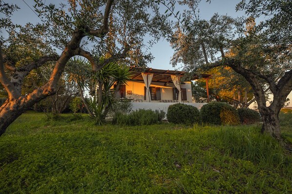 Exterior - VILLA ERMINEL Traditional country house in a peaceful olive grove (Ermioni)