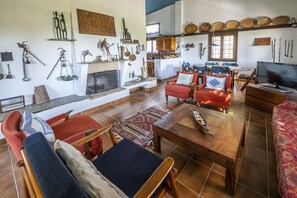 Smart TV, chimenea y libros 