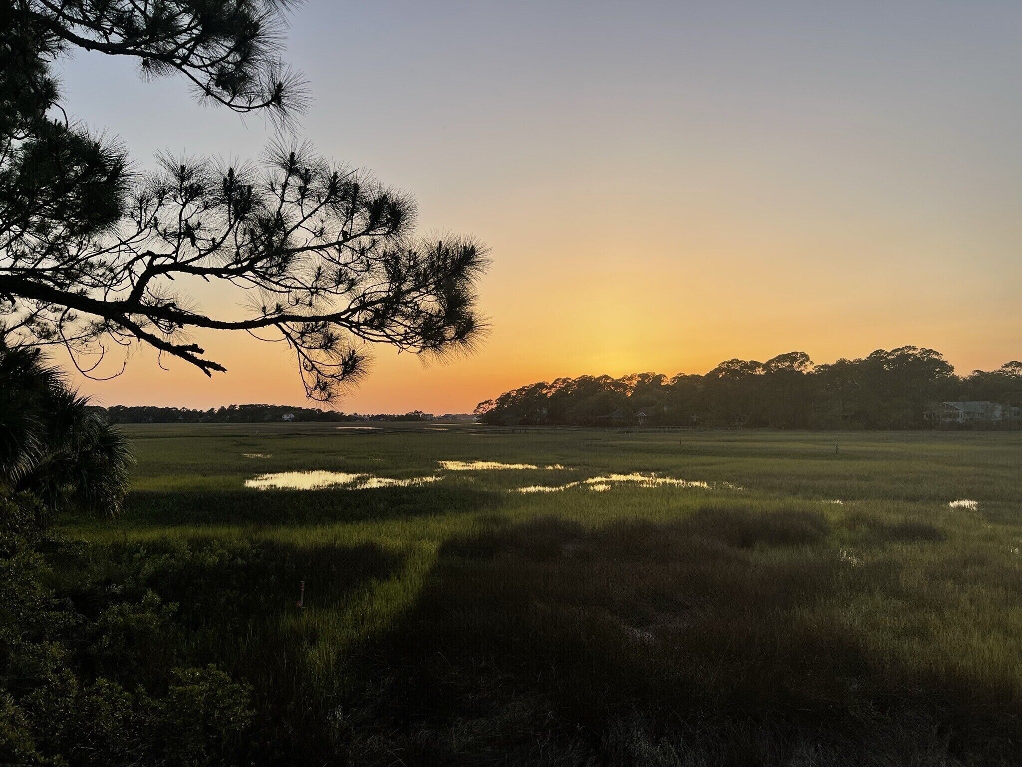 Wildlife Wonder, Marsh is your back yard w/ best sunset! Golf cart & bikes incl.
