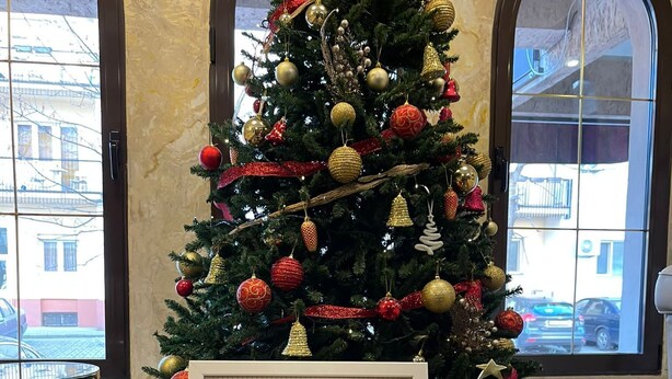 A Christmas tree decorated with ornaments and a framed award certificate for the G Hotel in Skopje, North Macedonia. - G Hotels (Skopje)