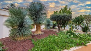 A landscaped garden with various cacti and succulents, a well-maintained gravel path, and a clear sky. - Awesome apartment in Cannes with swimming pool (Cannes)