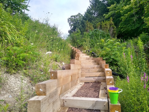 Stroll through lush gardens and discover a serene staircase amidst vibrant greenery.