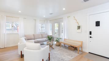 Smart TV, fireplace, books