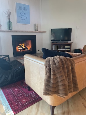Smart TV, chimenea, libros y estéreo