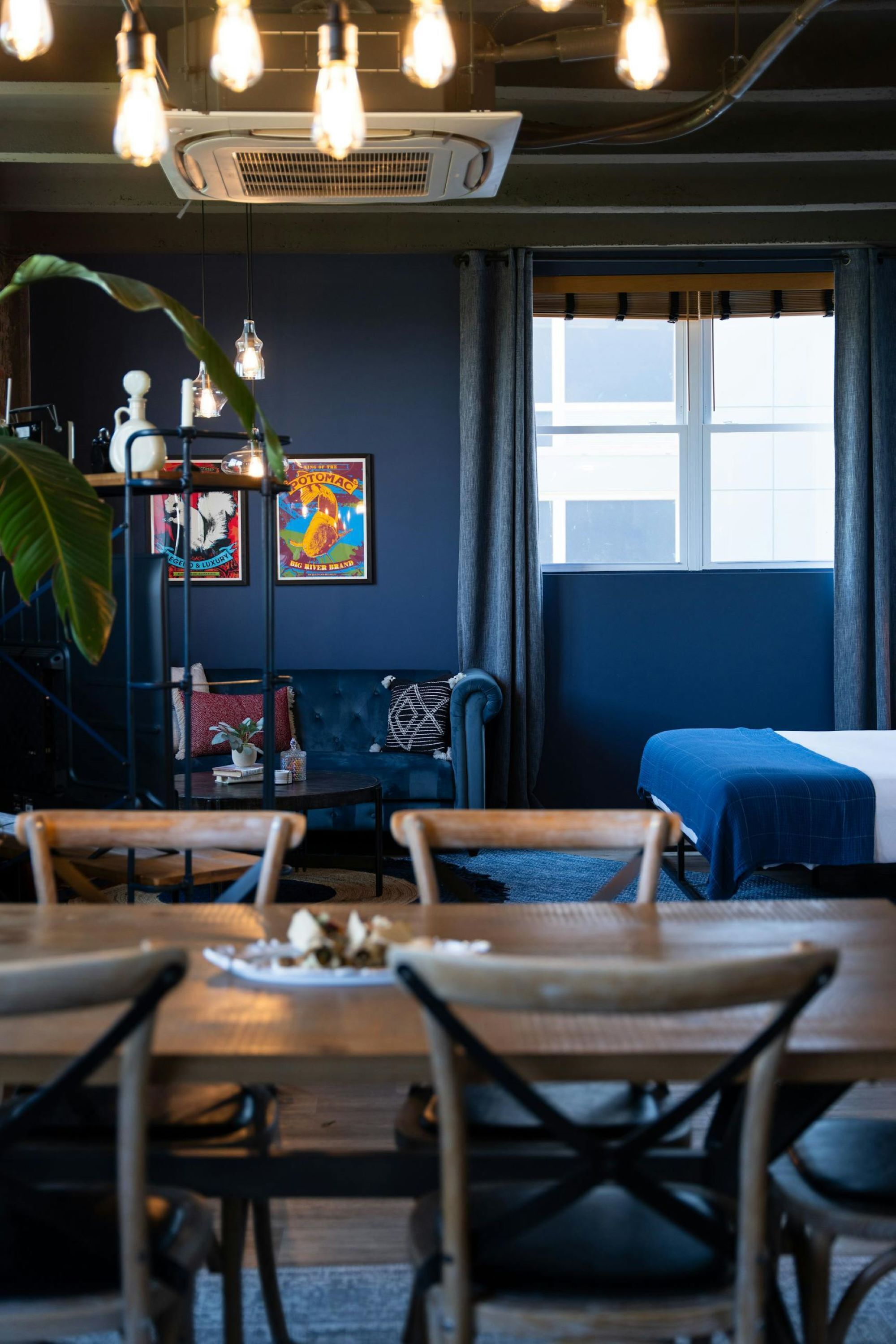 A room with a bed, a dining table, chairs, a plant, and a wall with framed pictures.