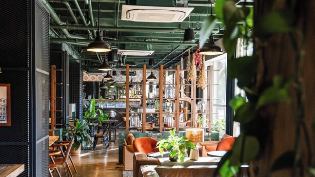 Un interior moderno con tuberías a la vista, mobiliario de madera y plantas colgantes.