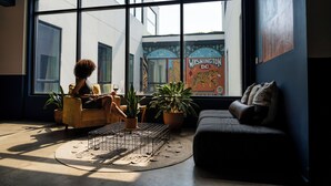 Una habitación con ventanas amplias, un sofá, una silla y varias plantas en macetas.