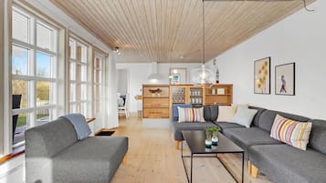 TV, fireplace, DVD player