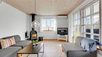 TV, fireplace, DVD player