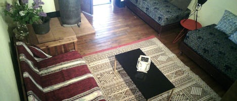 Fireplace, DVD player, books, stereo