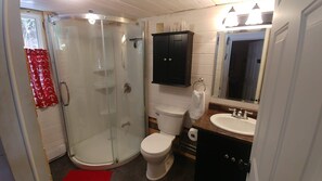 Dusche, Haartrockner, Seife, Toilettenpapier