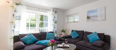 电视、DVD 播放器、乒乓球、立体声音响