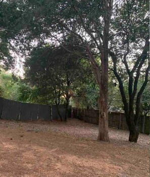 Property grounds - Hurst Texas Home 15 min from DFW (Hurst)