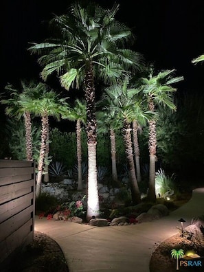 Vue nocturne d’un espace paysager agrémenté de palmiers et d’un chemin menant à un bâtiment.