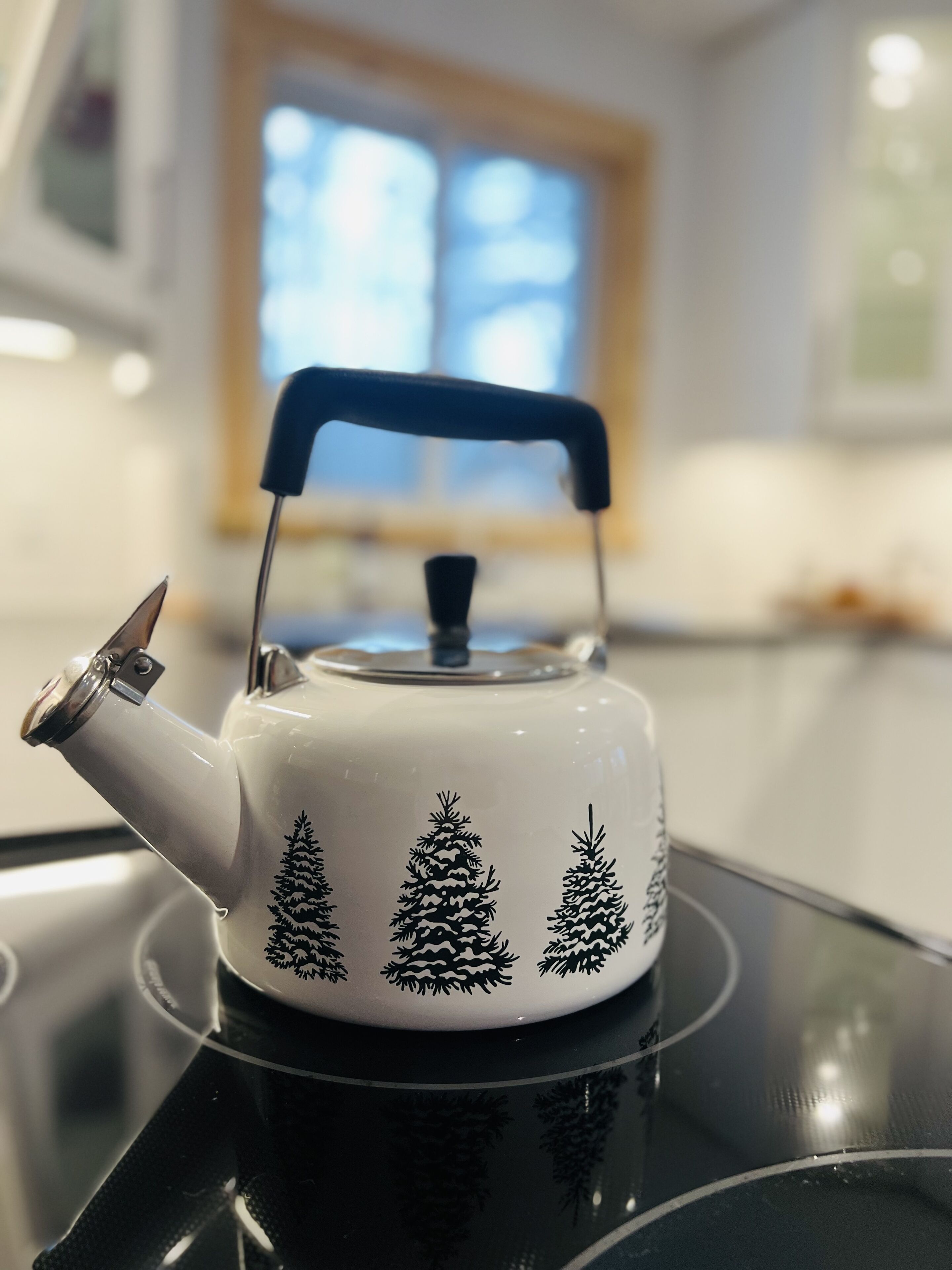 Cozinha privada