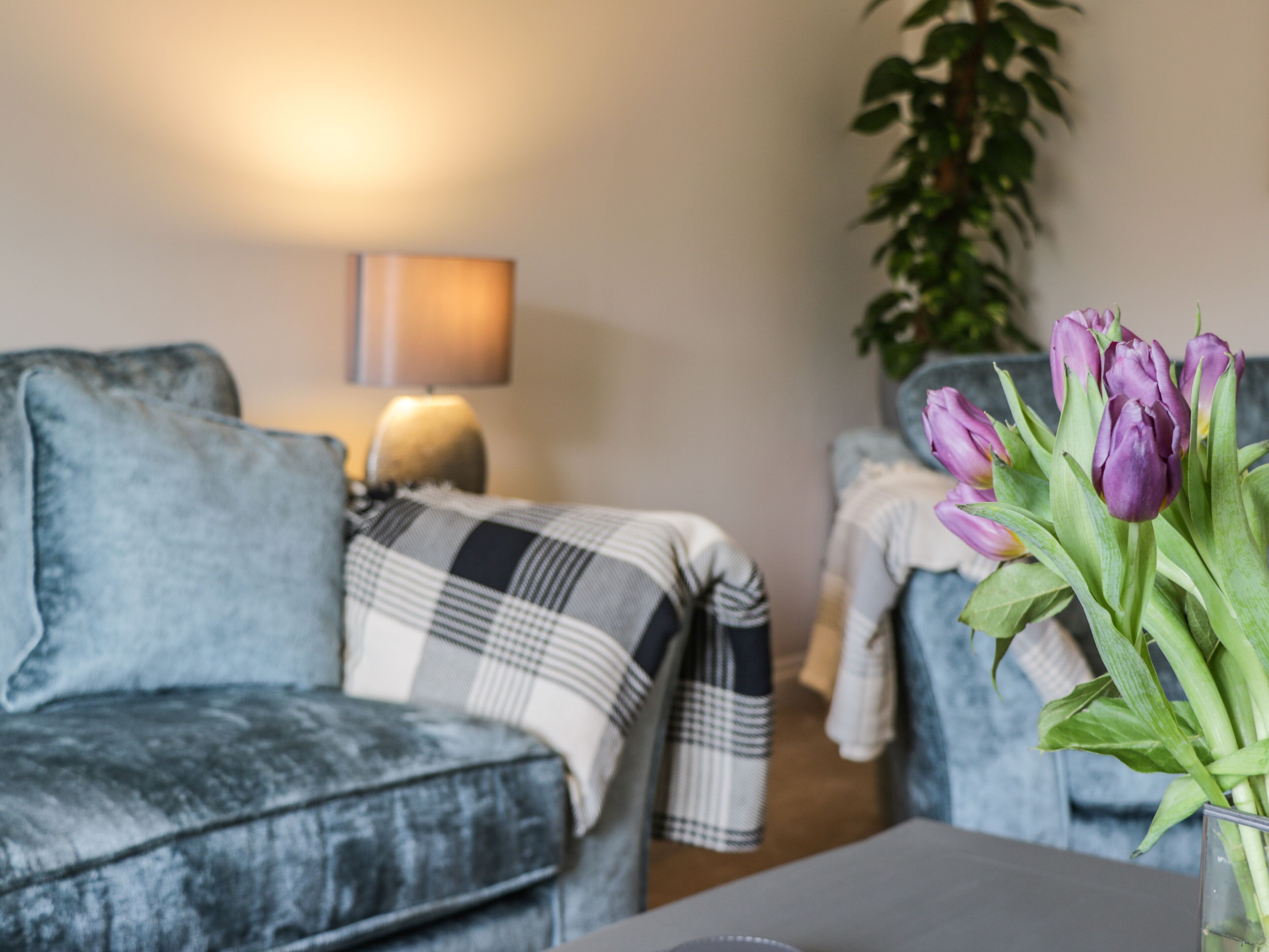 ROSE COTTAGE, pet friendly, character holiday cottage in Faceby