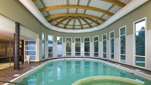 An indoor swimming pool with a curved design, large windows, and a wooden ceiling structure. - App*** 2/3 pers "Nuage" ☁️ Air-conditioned with garden (Lons-le-Saunier)