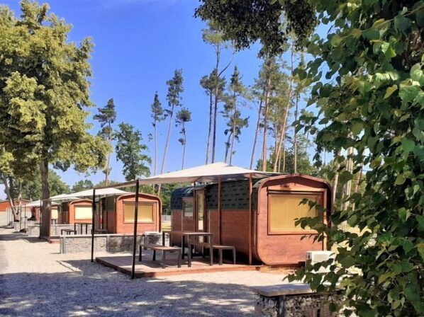 Un hilero de cabañas de madera rústica con ventanas amplias, mobiliario exterior y rodeadas de árboles.