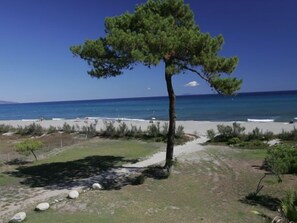 In Strandnähe