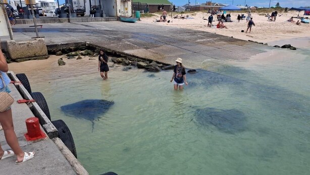 A pier with clear water, people walking, and a sandy beach in the background. - 6 Sleeper self catering house (L'Agulhas)