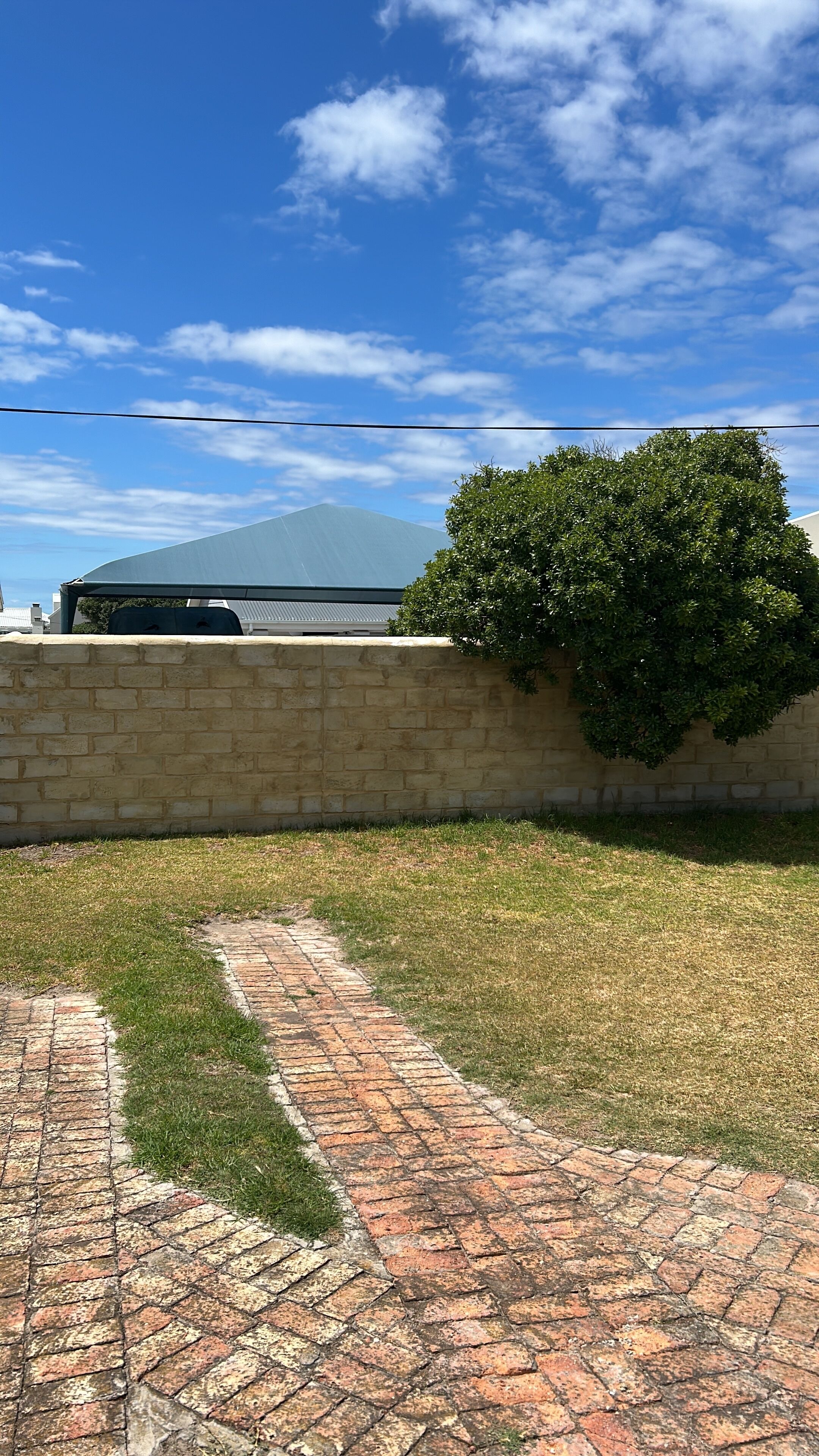 A brick pathway leading to a stone wall with a tree and a building in the background.