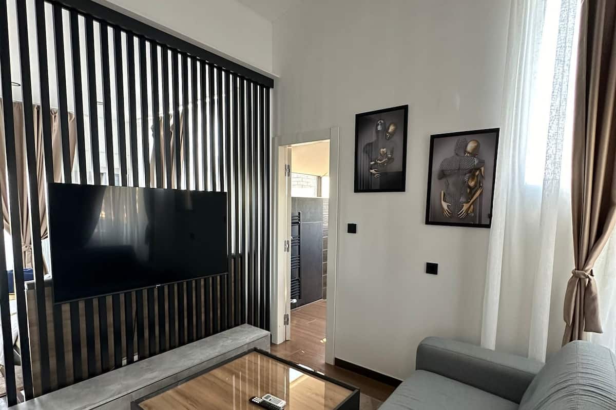 A modern living room with a grey sofa, a wooden coffee table, and a TV on a black stand.