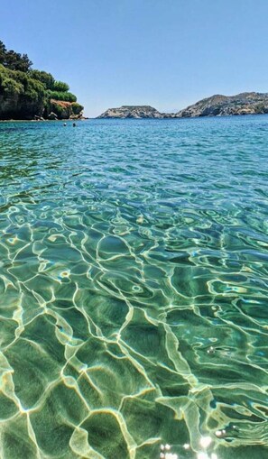 Playa en los alrededores y camastros