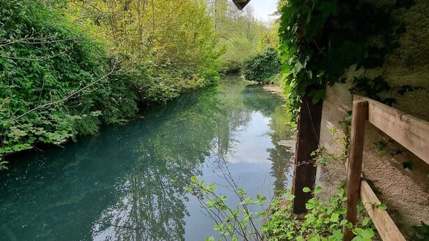 Ein Fluss, gesäumt von dichter Vegetation, mit einem Holzzaun und einer Betonkonstruktion darüber.
