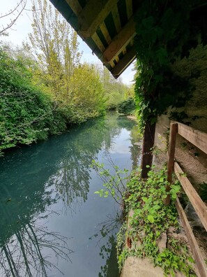 A river with dense greenery on both sides, a wooden fence, and a concrete structure overhead.