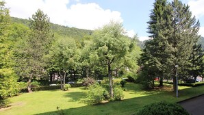 Ein gepflegter Garten mit verschiedenen Bäumen und einem gepflasterten Weg.