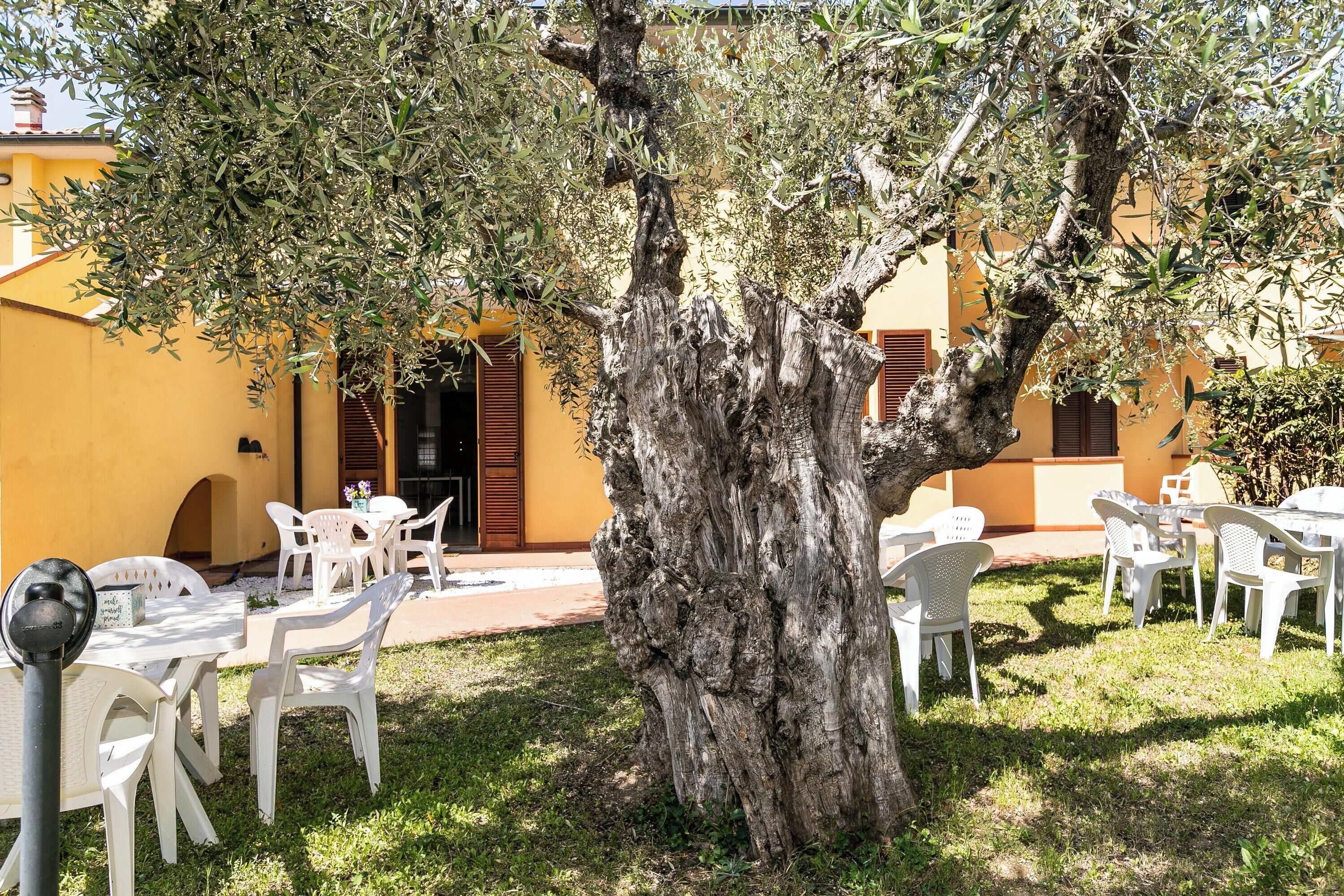 屋外ダイニングエリア