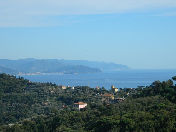 Miscellaneous - Apartment 'Fattorialmare Gialla' with Sea View, Shared Terrace & Wi-Fi (Camogli)