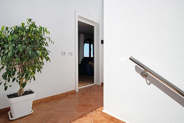 Een kamerplant in een witte pot, een betegelde vloer, een witte muur en een deur naar een andere kamer.