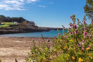 Un paysage côtier avec une maison surplombant la mer, une plage de sable et des plantes en fleurs au premier plan.