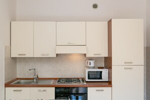 Une cuisine équipée d’une cuisinière à gaz, d’un four à micro-ondes, d’un four traditionnel et d’un évier.