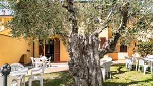 Un espace extérieur aménagé avec des chaises et des tables en plastique blanc, un grand arbre et un bâtiment jaune aux volets bruns.