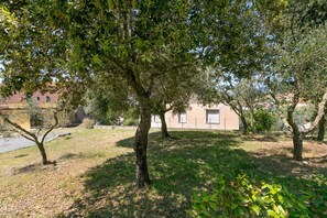 A grassy area with trees and a building in the background.