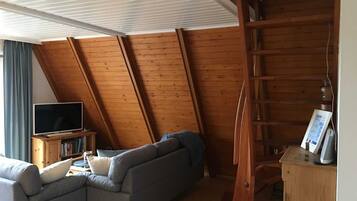 Fernseher