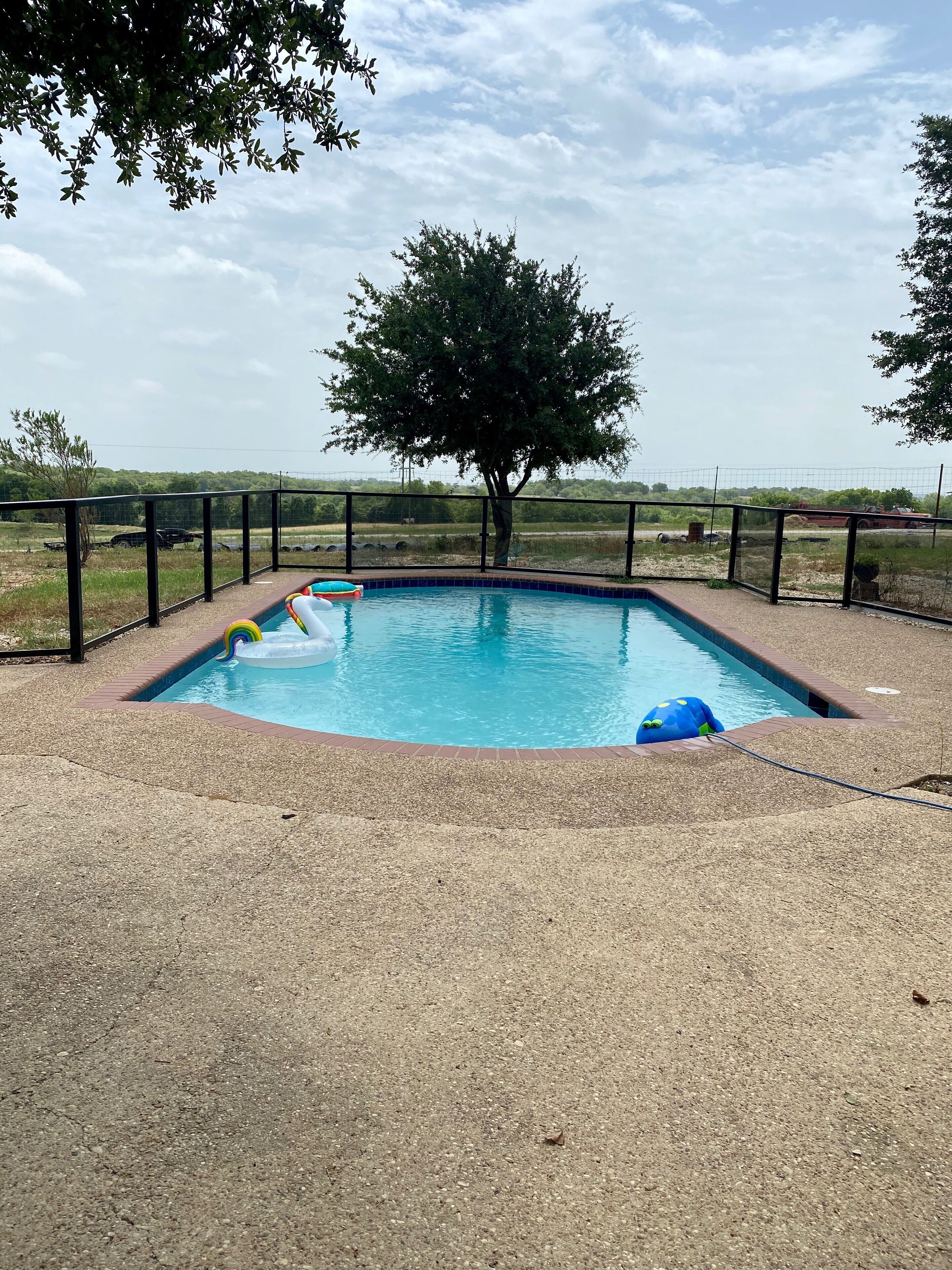 A swimming pool with a black metal fence, surrounded by a gravel area and a tree.