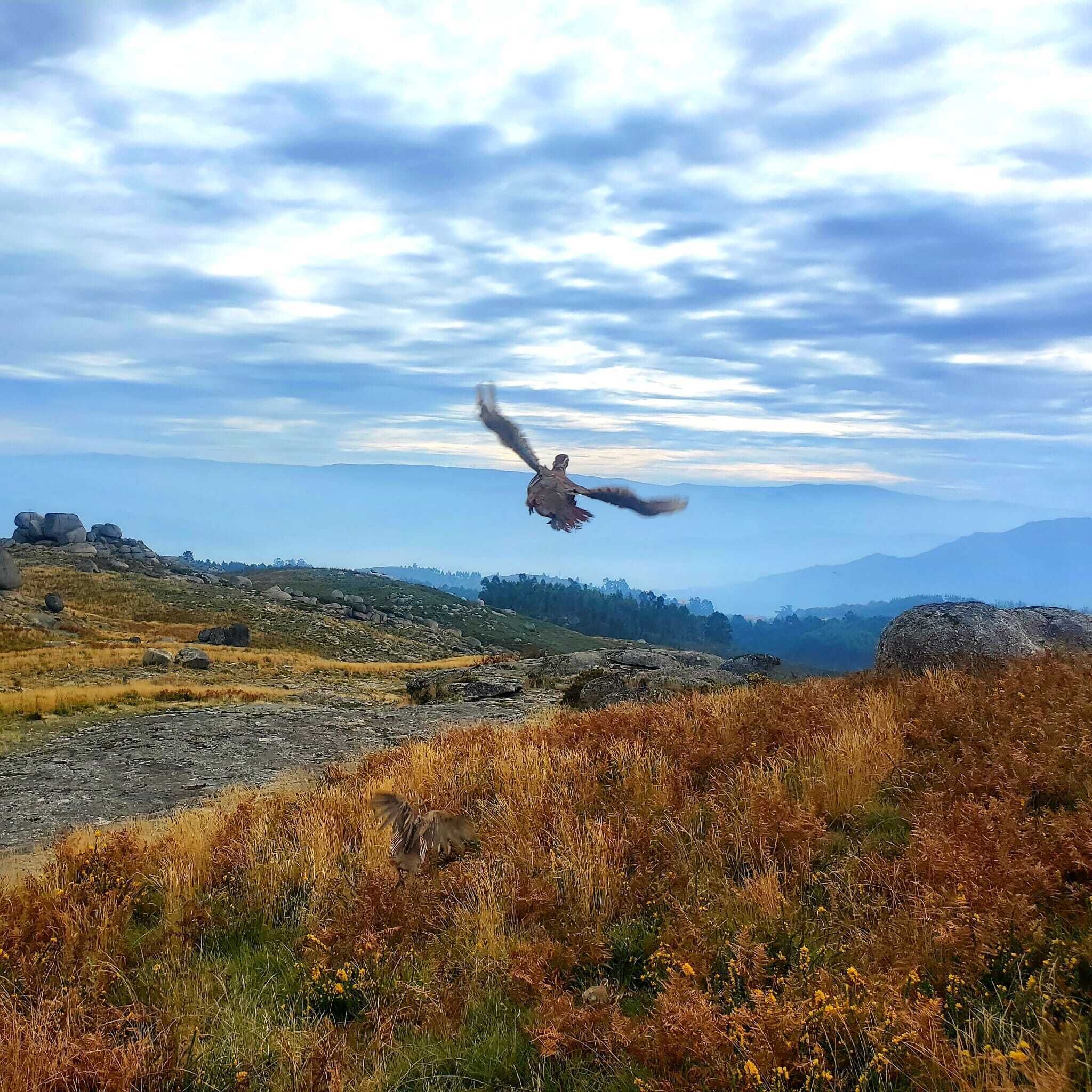 Eine Person fliegt über eine hügelige Landschaft mit felsigem Gelände und karger Vegetation.