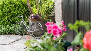 Una bicicleta estacionada junto a una pared con una cesta de flores.