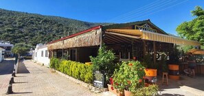 A building with a thatched roof and a sign reading "VALICIVI". - Yalıyanı Pansiyon (Bodrum)