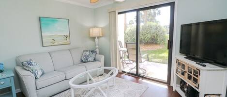 Televisión, reproductor de DVD, libros