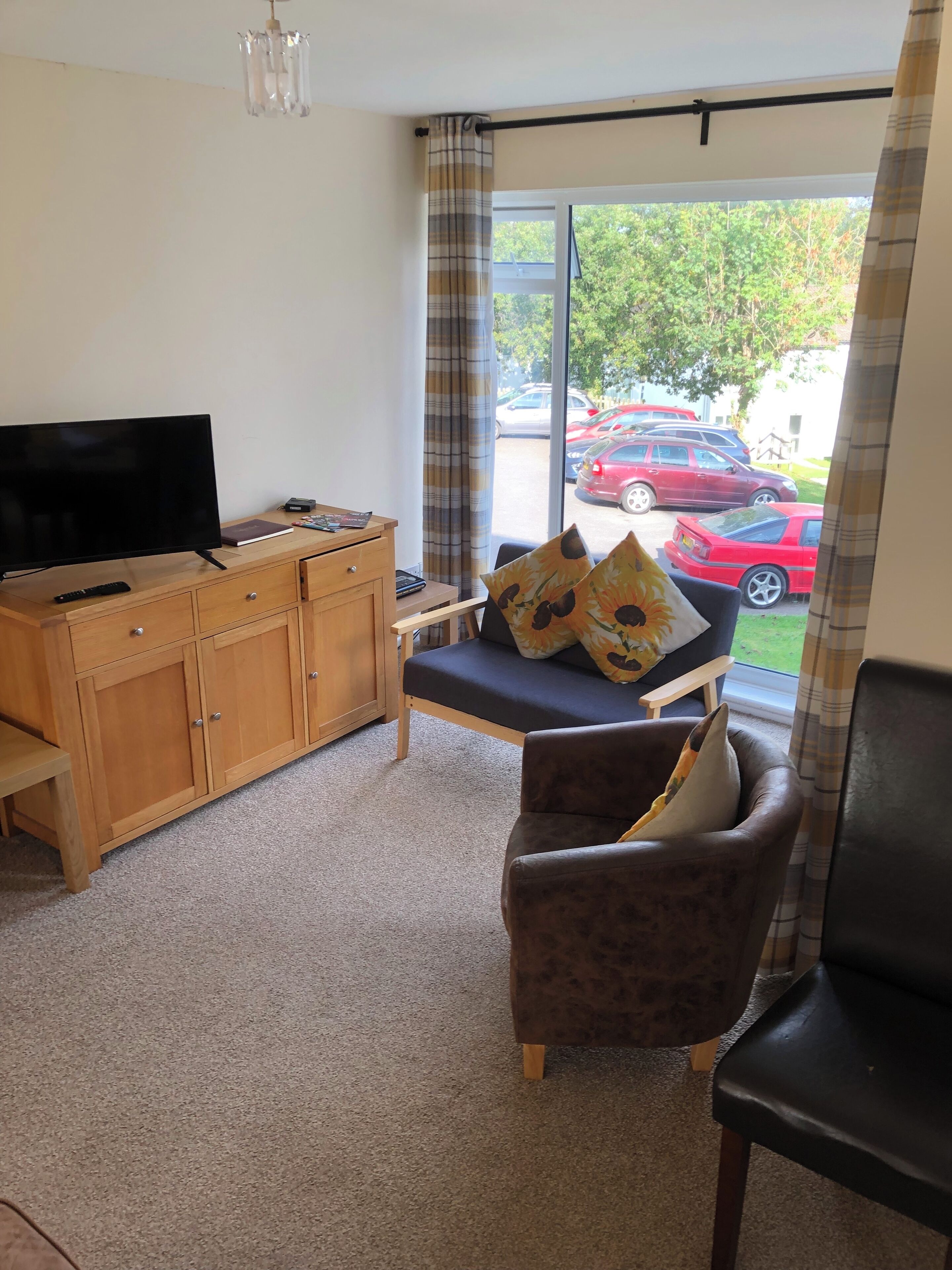 Télévision, cheminée, lecteur de DVD