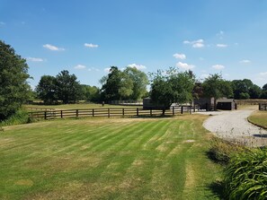 المنطقة المحيطة بالمنشأة