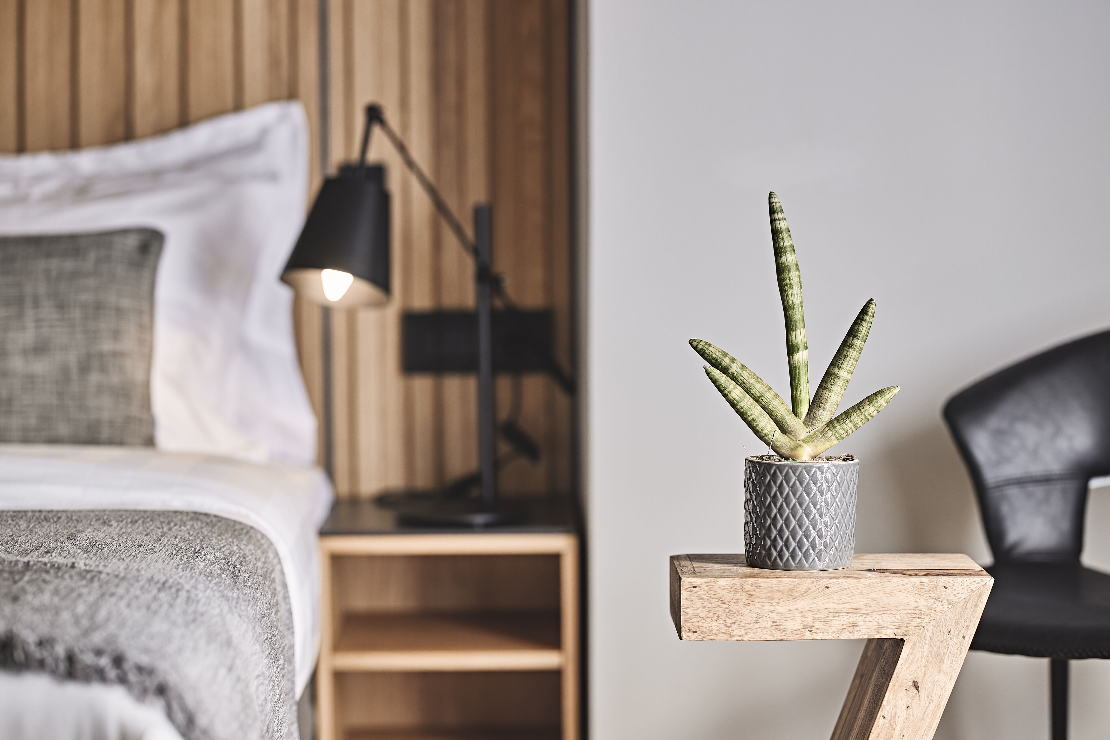 Una camera da letto con un letto, un comodino con una lampada, una pianta in vaso e una sedia.