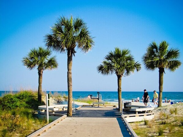 Stroll along the beachside walkway, lined with palm trees and benches, leading to a sandy beach area.